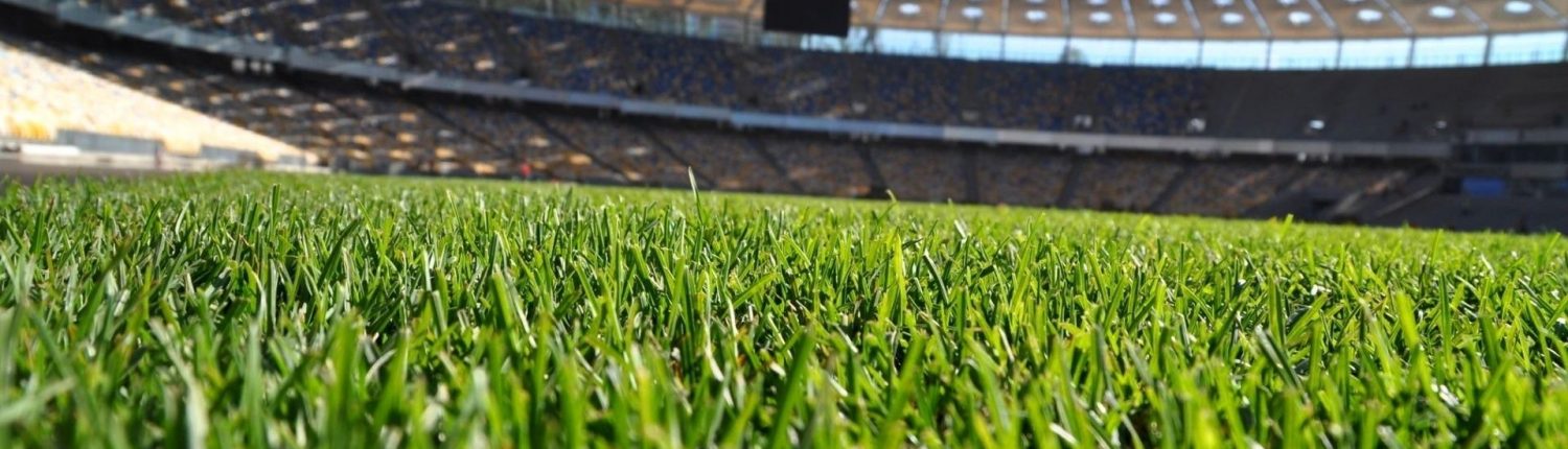campo-di-calcio,-stadio-159499